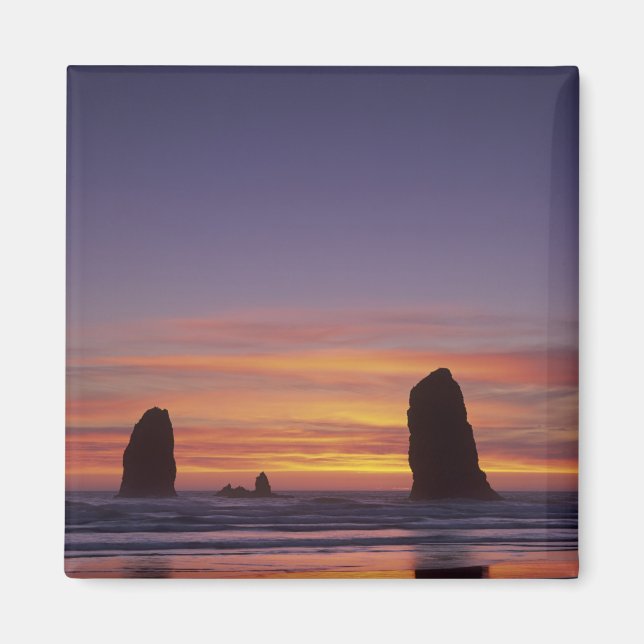 Aimant OR, côte de l'Oregon, Cannon Beach, piles de mer à (Devant)