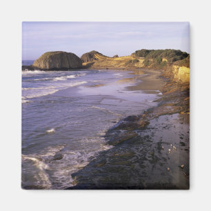 Aimant OR, Côte de l'Oregon, Newport, littoral au phoque