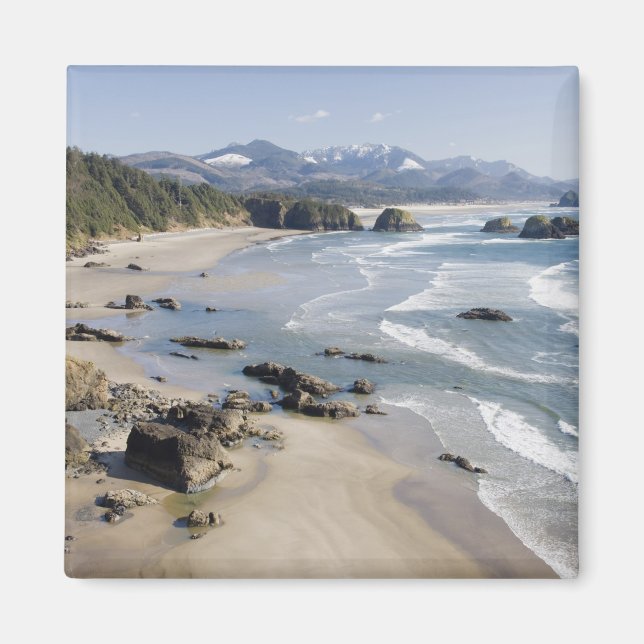 Aimant OR, côte de l'Oregon, parc d'État d'Ecola, Crescen (Devant)