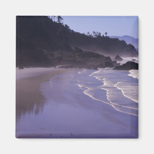 Aimant OR, Ecola SP, Indian Beach avec brouillard matinal