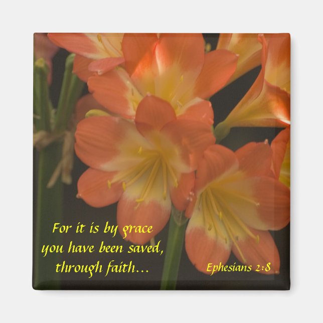 Aimant Orange Amaryllis (Devant)