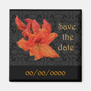 Aimant Orange Azalea Blossoms