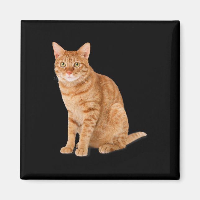 Aimant Orange Chat Tab Funny Chat Parodie Amoureux des ch (Devant)