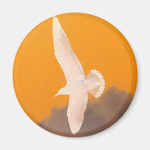 Aimant Orange de mouette