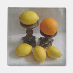 Aimant Orange et citrons