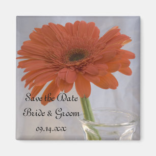 Aimant Orange Gerber Daisy in Vase Wedding Enregistrer la