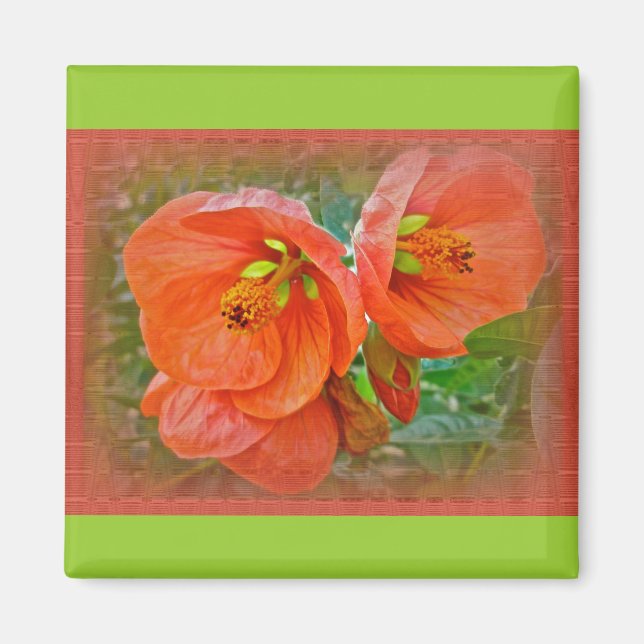 Aimant Orange Hibiscus Fleurs (Devant)