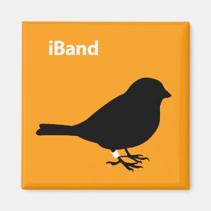 Aimant Orange iBand