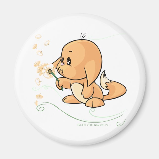 Aimant Orange Kacheek souhaitant sur un pissenlit (Devant)