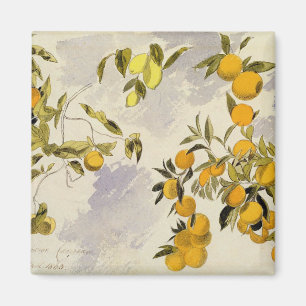 Aimant Orange Trees, 1863 (w/c, stylo et encre sur graphi