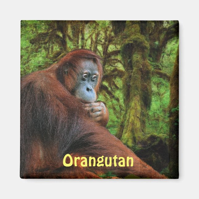 Aimant Orangutans en voie de disparition Red Apes Art Mag (Devant)