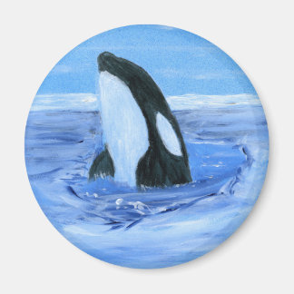 Aimant Orca orque