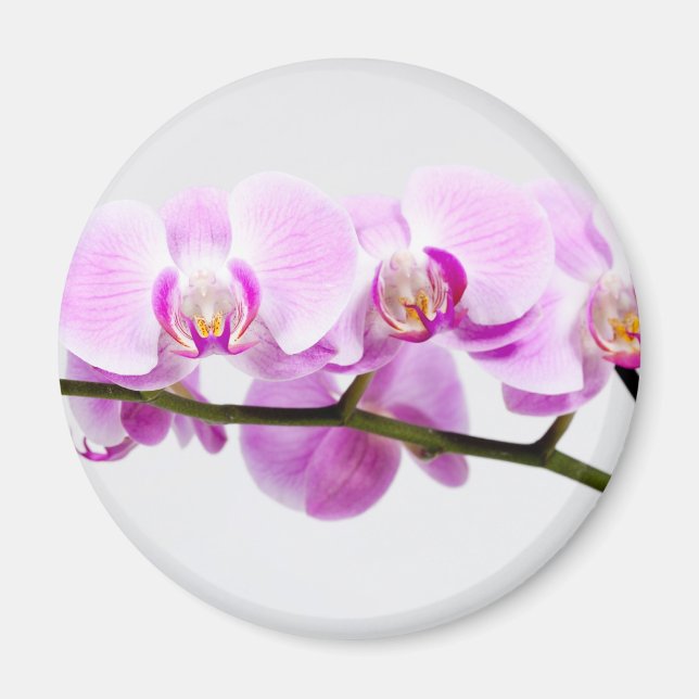 Aimant orchidée (Devant)