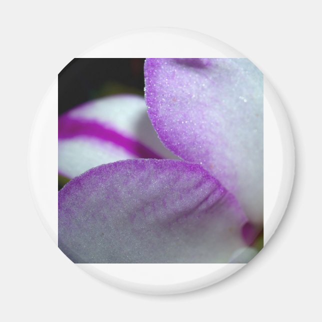 Aimant Orchidée (Devant)