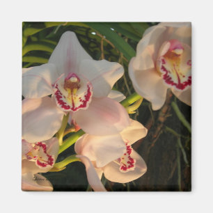 Aimant Orchidée