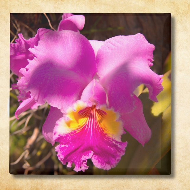 Aimant Orchidée Cattleya Rouge Rose (Créateur téléchargé)