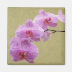 Aimant Orchidée de Phalaenopsis
