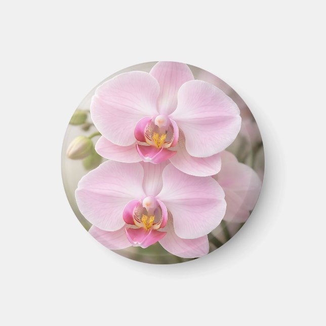 Aimant Orchidée Phalaenopsis Rose Tendre (Devant)