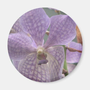 Aimant Orchidée pourpre
