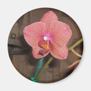 Aimant orchidée repérée