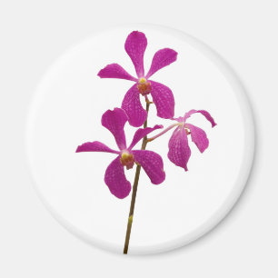 Aimant Orchidée rose