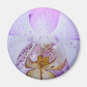Aimant Orchidée rose