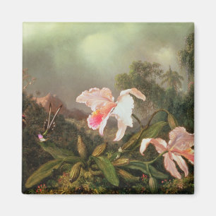 Aimant Orchidées de jungle et colibris, 1872