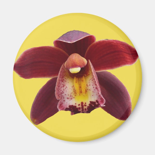 Aimant Orchidées de Maroon I Beau Floral Rouge (Devant)