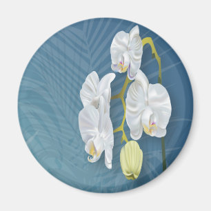 Aimant Orchidées et fougères
