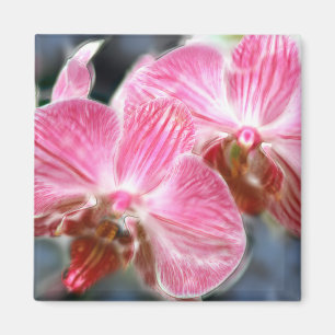 Aimant Orchidées roses rayées de Phalaenopsis