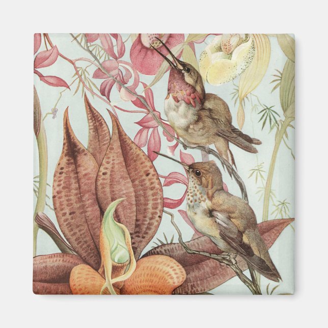 Aimant Orchidées tropicales vintage, fleurs et colibris (Devant)