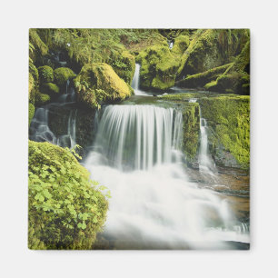 Aimant Oregon, Cascade dans le parc national Willamette