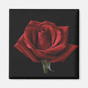 Aimant oreiller rouge