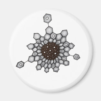 Aimant Organic Chemistry Aromatique Structure Space Stars