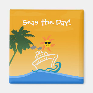 Aimant orienté de croisière