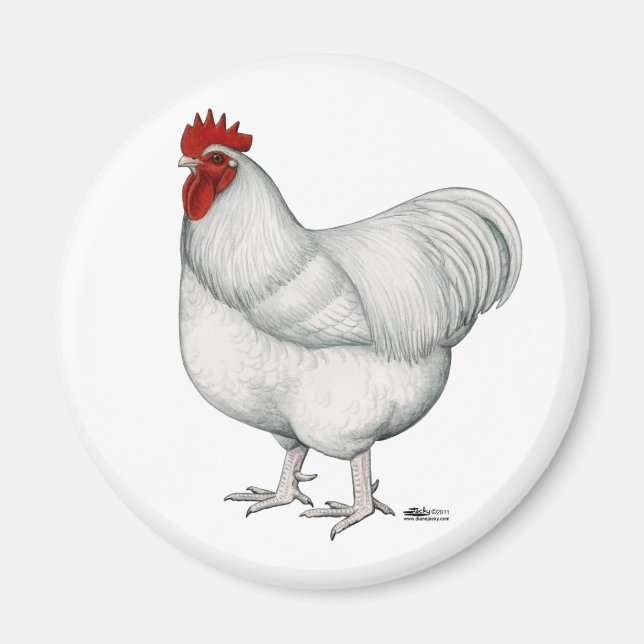 Aimant Orpington White Rooster (Devant)