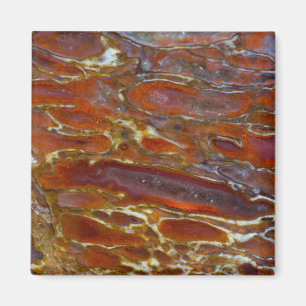 Aimant Os Petrifié Dinosaure