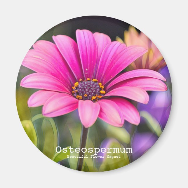 Aimant Ostéospermum (Devant)
