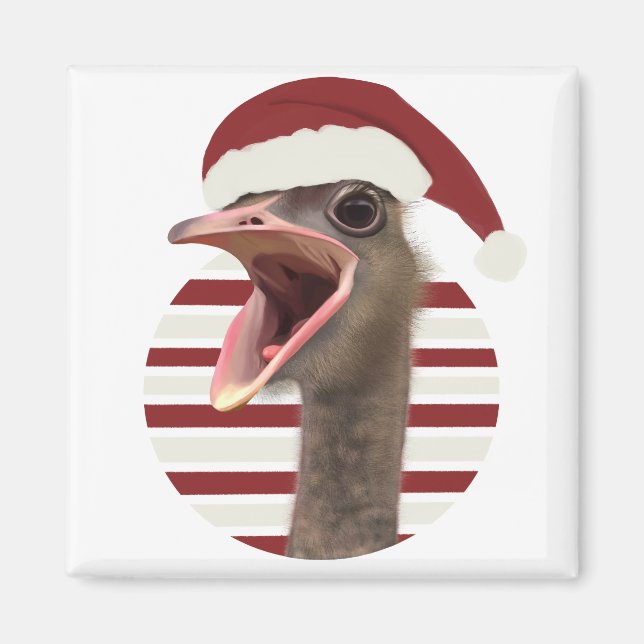 Aimant Ostrich de Noël joyeux avec chapeau de Père Noël (Devant)