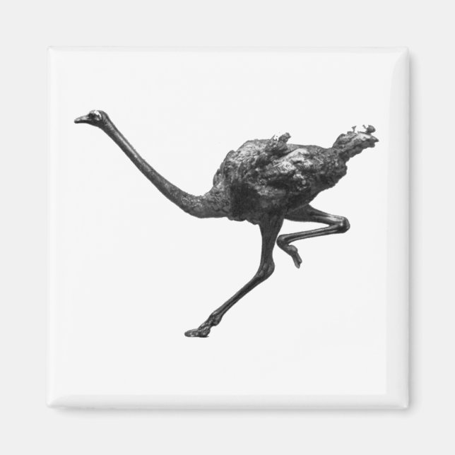 Aimant Ostrich Running Cool Athlète Art animal (Devant)