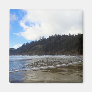 Aimant Oswald West State Park, Oregon Coast