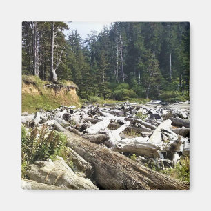 Aimant Oswald West State Park, Oregon Coast