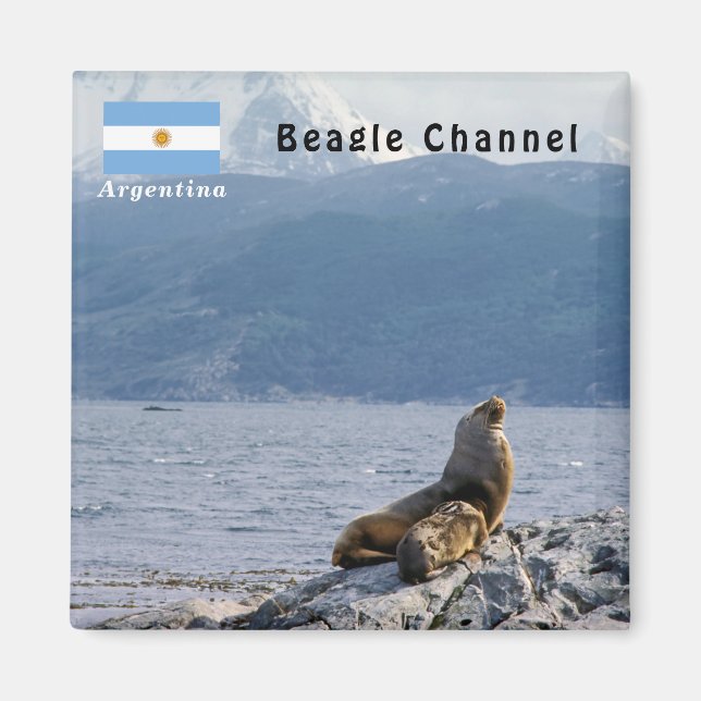 Aimant Otaries dans le canal de Beagle - Argentine (Devant)