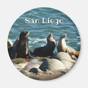 Aimant Otaries de San Diego