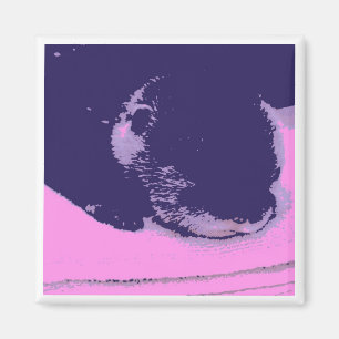 Aimant Otter endormi