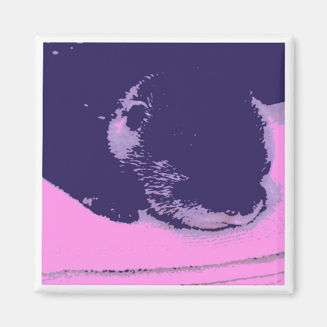 Aimant Otter endormi (Devant)