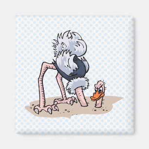 Aimant Otto von Ostrich