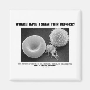 Aimant Où ai-je vu ceci avant ? Globules sanguins