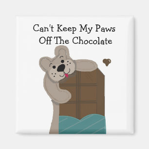 Aimant Ours en peluche grignotant du chocolat