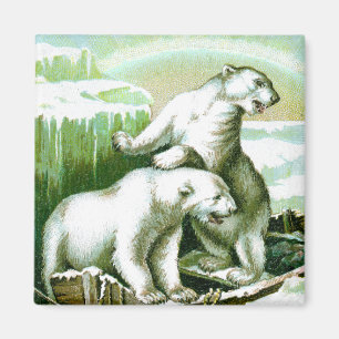 Aimant Ours polaires et aurores boréales